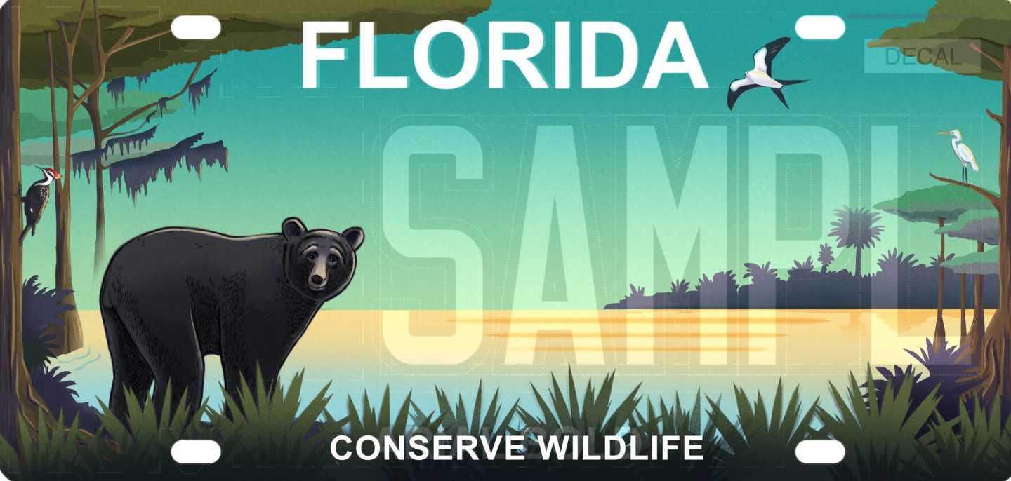 Conserve Wildlife with a New Florida License Plate | Defenders of Wildlife